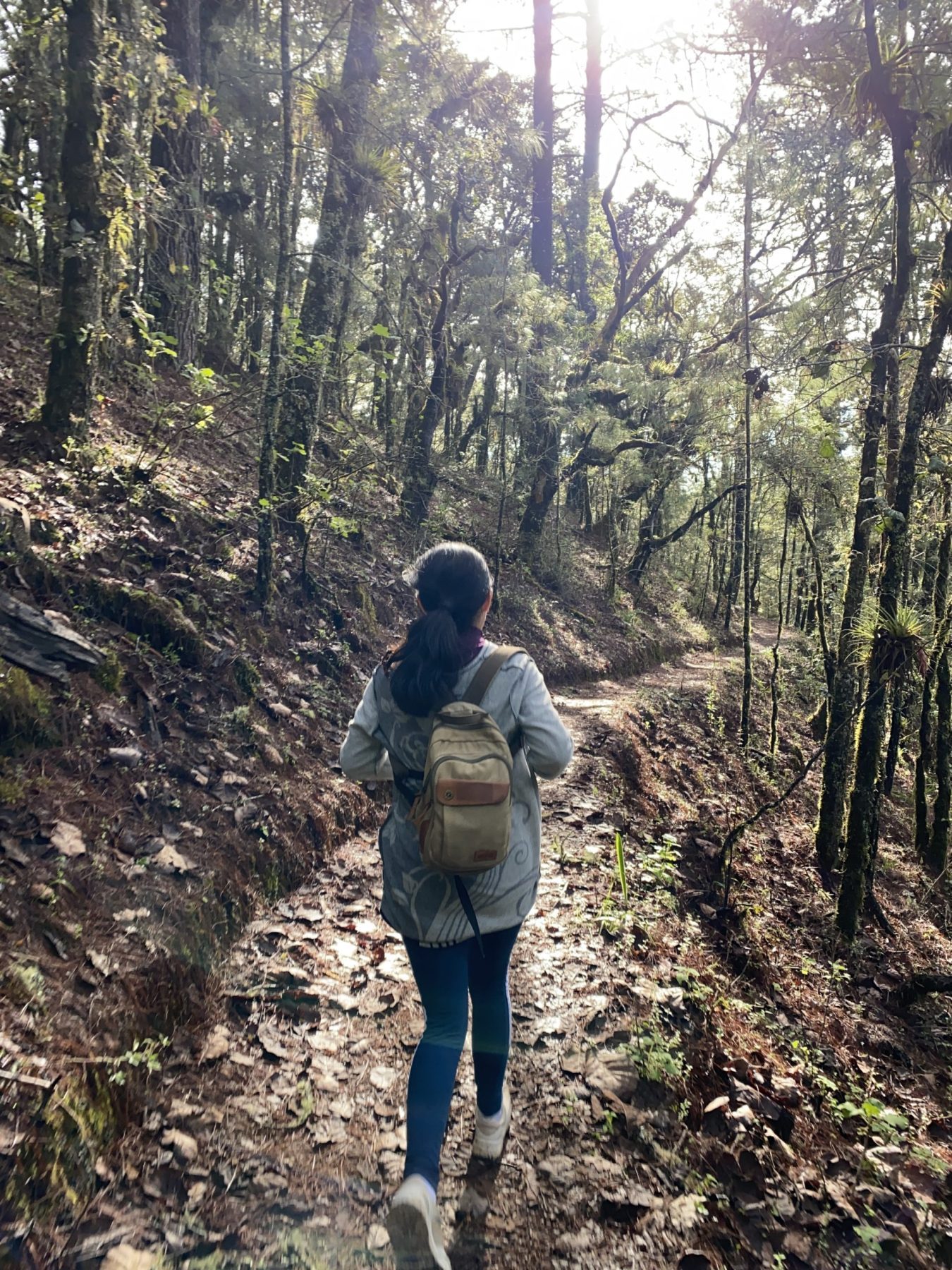 Ixtepeji: High Altitude Trail Run in Oaxaca's Sierra Norte Mountains