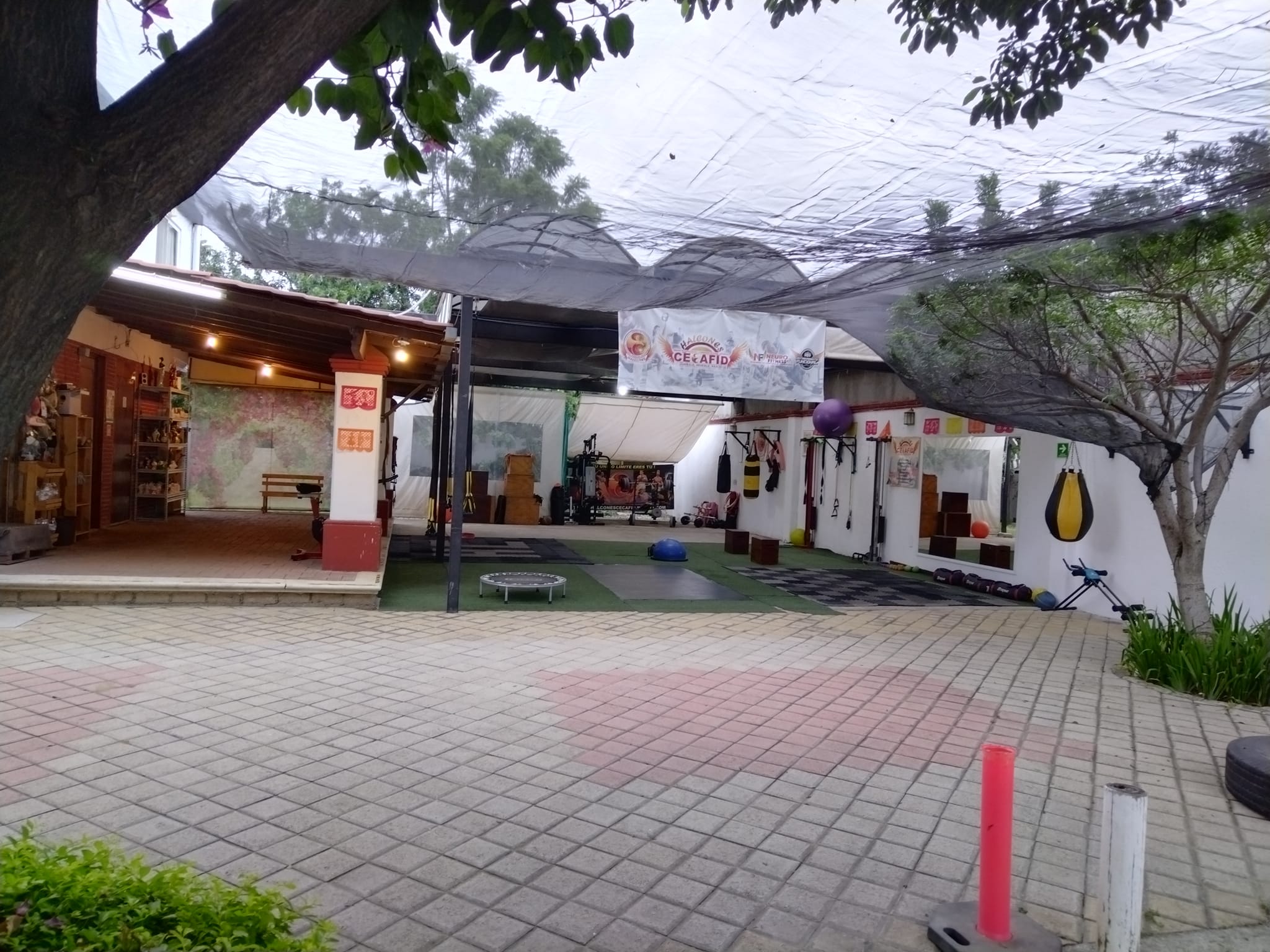 HalconesCECAFID Basketball Team 2022